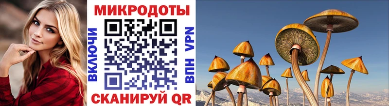 Псилоцибиновые грибы прущие грибы Котельниково